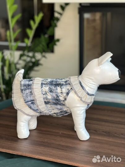 Одежда для собак