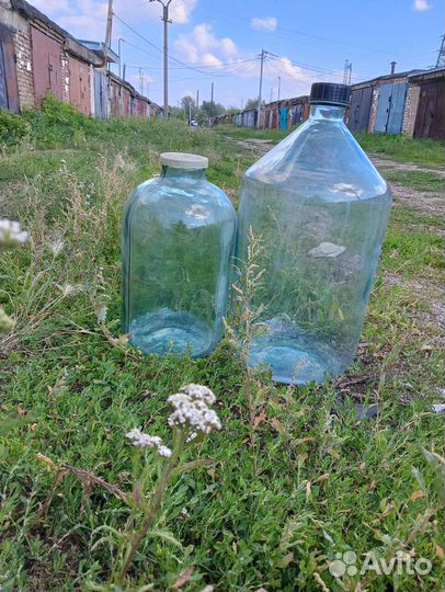 Бутылка стеклянная