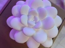 Диффузор керамический цветок