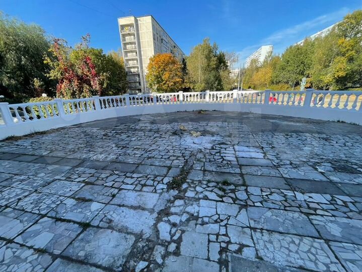 Кафе, ресторан, пиццерия