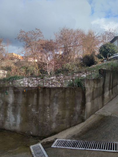 Участок 3 сот. (ИЖС)