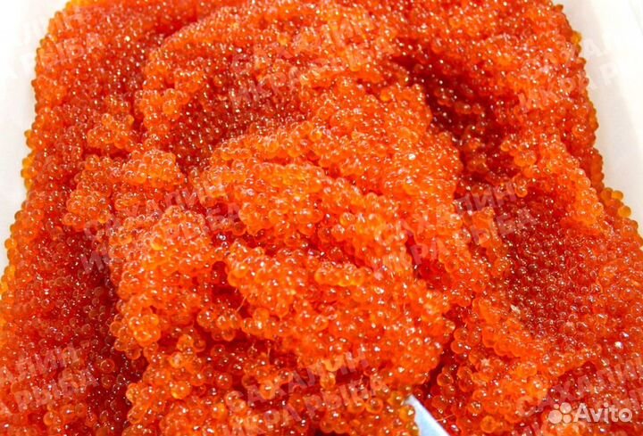 Красная икра