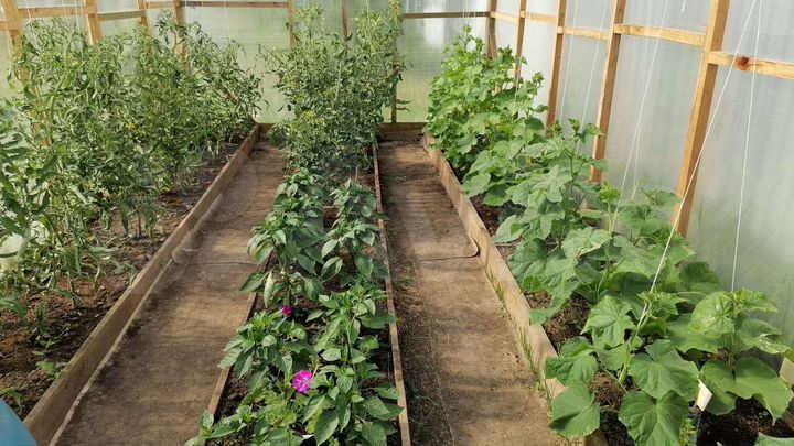 Участок 20 га (СНТ, ДНП)