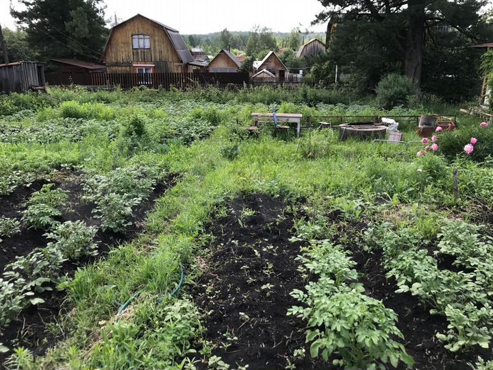 Дача 20 м² на участке 8,1 сот.