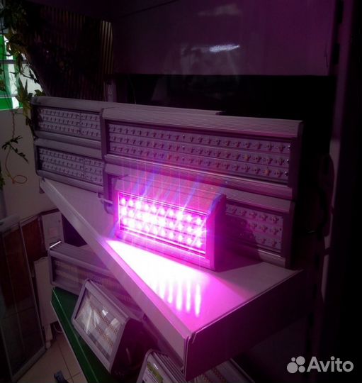Фитосветильники для растений