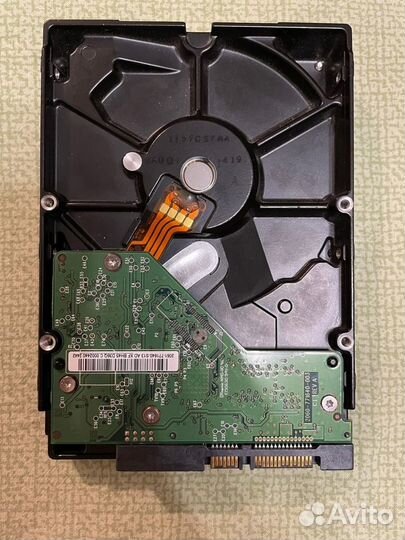 Жесткий диск Western Digital WD Blue 500 гб WD5000