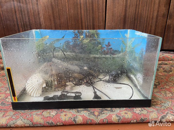 Аквариум 50 литров с фильтром и нагревателем