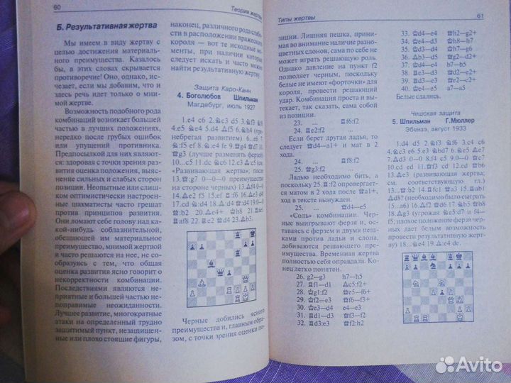 Рудольф Шпильман: Теория жертвы