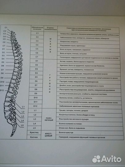 Новый оздоровительный комплекс 
