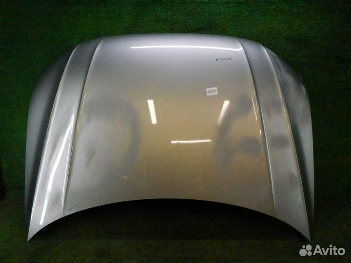 Капот VW Tiguan 2 (2016-2020)