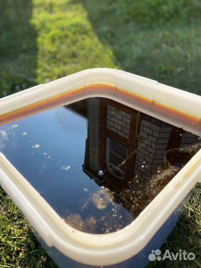 Алтайский мед оптом 2023