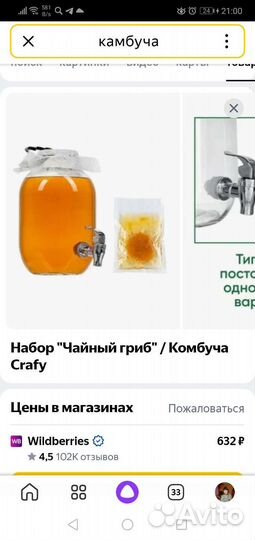 Гриб чайный