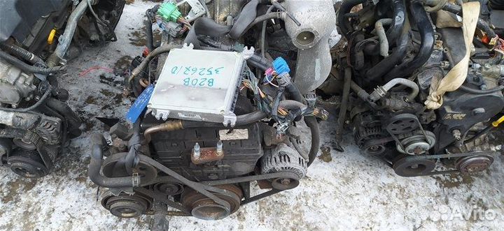 Двигатель Honda Stepwgn RF1 B20B