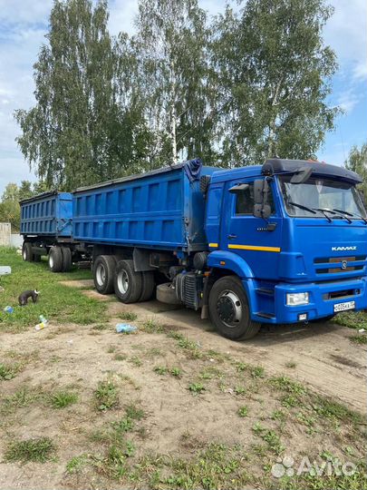 КамАЗ 65115, 2020