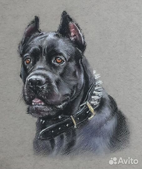 Портрет вашего питомца по фото на заказ