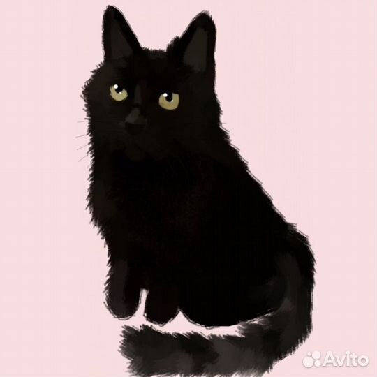 Нарисую Вашего питомца