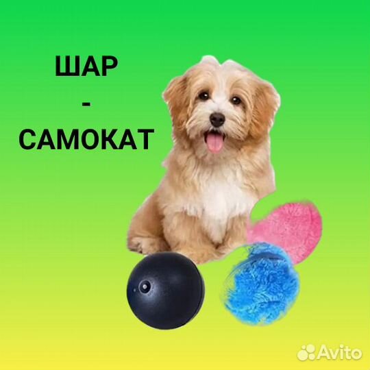 Шар-самокат