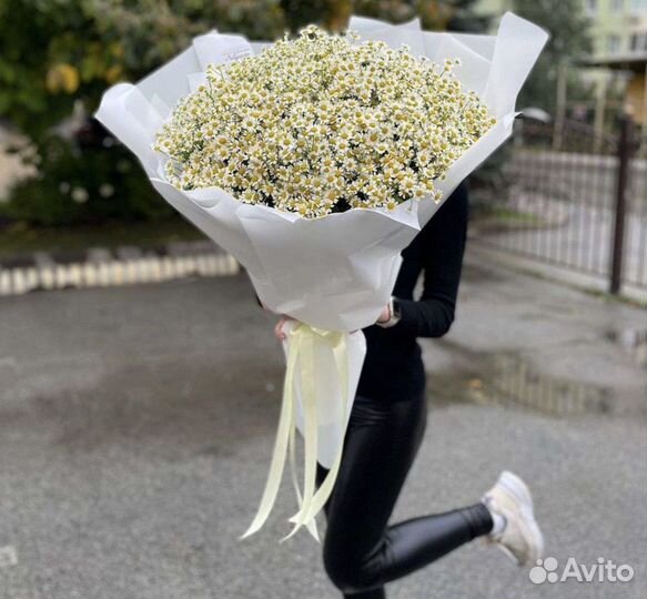 Ромашки цветы букеты