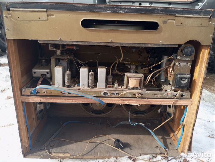 Радиола ригонда