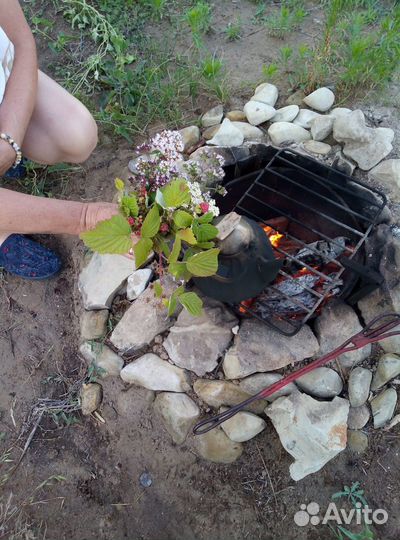 Сдаю дачу в аренду