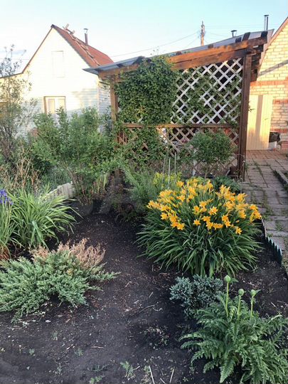 Дача 51 м² на участке 5 сот.