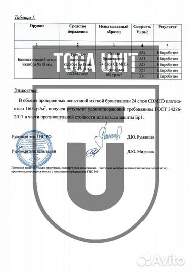 Защита плеч Русич