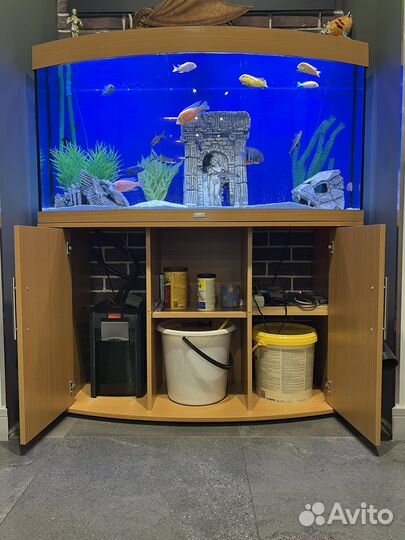 Аквариум Juwel Vision 260 LED с тумбой