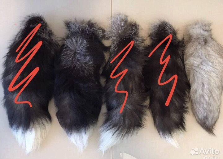 Лисий хвост чернобурка