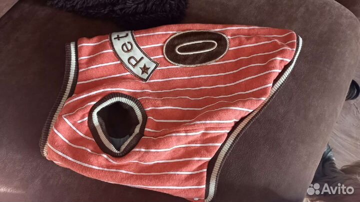 Одежда для собак