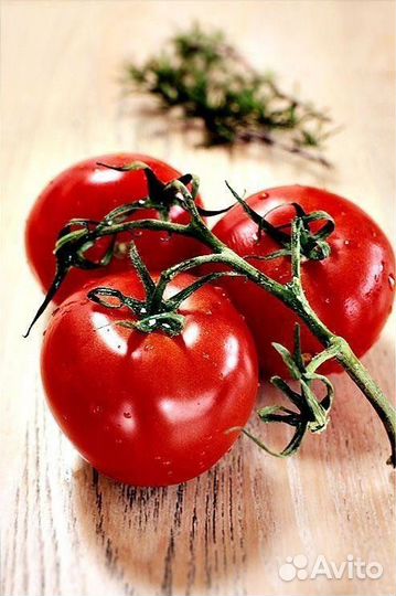 Сборщик/ца овощей в теплицу, вахта