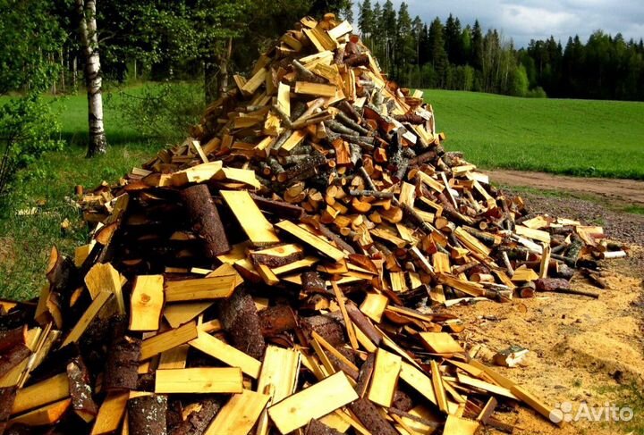 Дрова в область