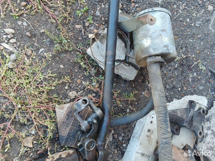 Гур на газель