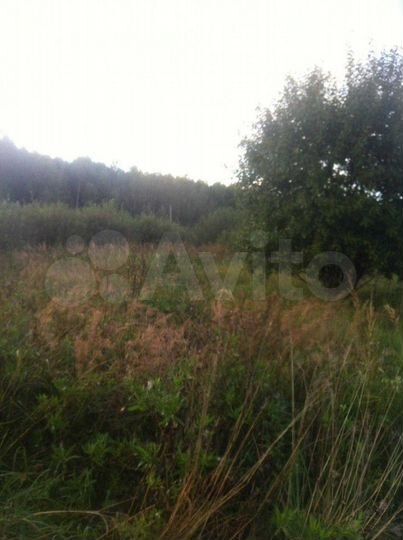 Участок 13,5 сот. (СНТ, ДНП)