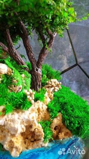 Подарок Моссариум с водопадом и деревом