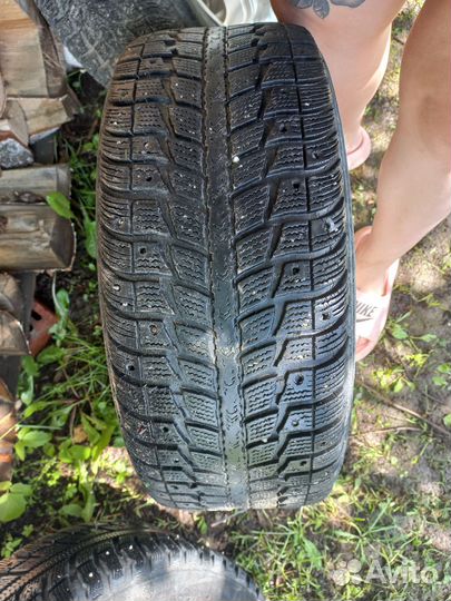 Federal Himalaya WS2 195/55 R15