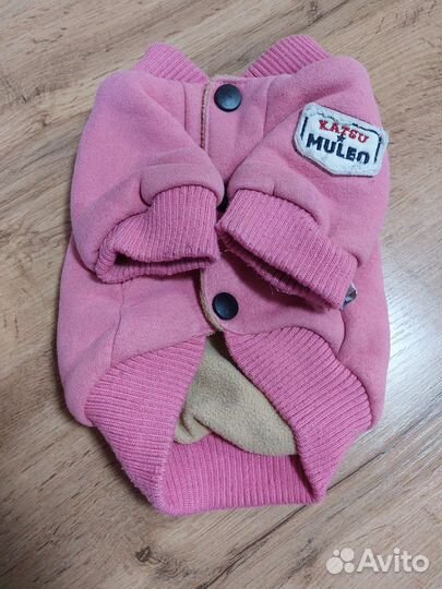 Одежда для собак мелких пород