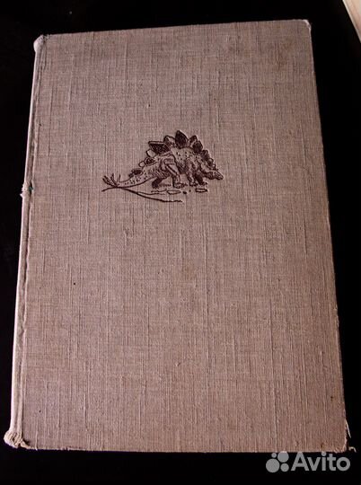 Menschen Der Urzeit Немецкая книга динозавры 1960