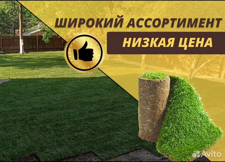 Рулонный газон под ключ Элитный