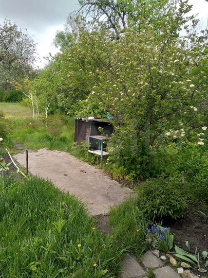 Дача 27 м² на участке 6 сот.