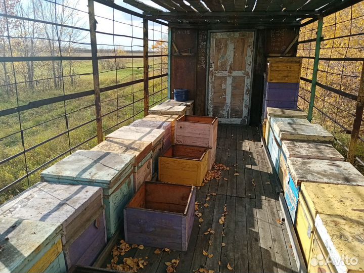Пасека, платформа для перевозки пчел