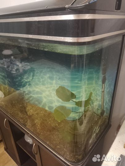 Аквариум бесшовный 200л