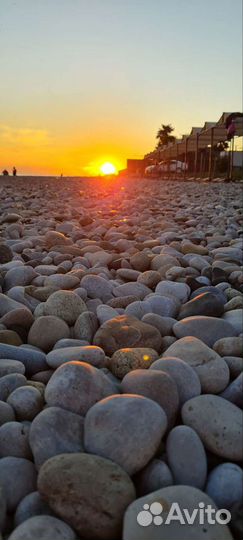 Ежедневные поездки на море из Краснодара