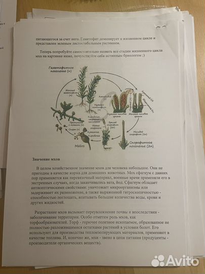 Материал для подготовки к ЕГЭ по биологии