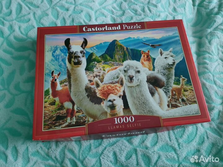 Пазлы 1000 деталей