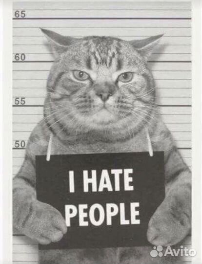 Сказка по телефону для взрослого человека