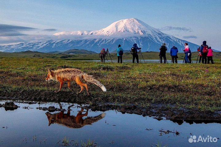 Пешие прогулки в природный парк Налычево Камчатка