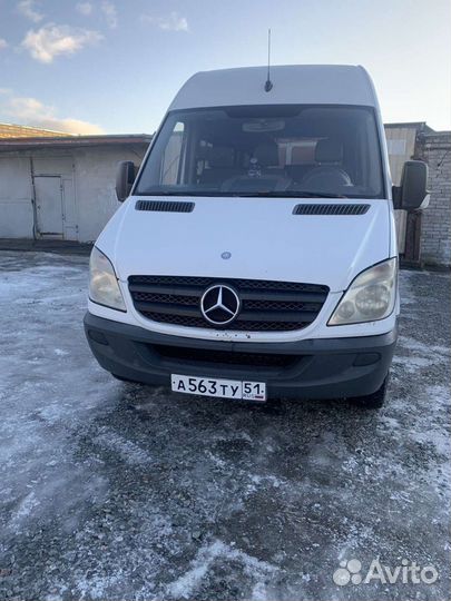 Пассажирские перевозки автобус микроавтобус