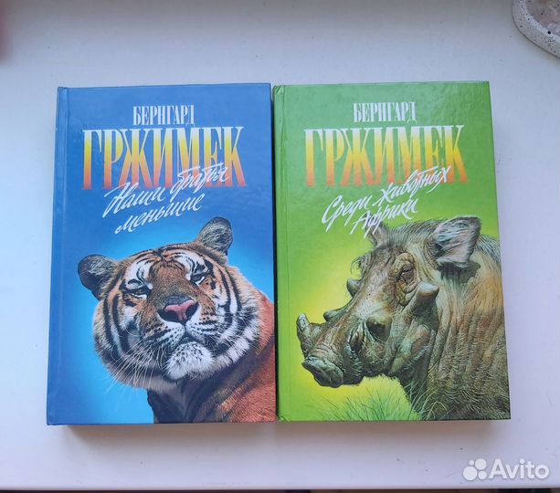 Книги пакетом романы