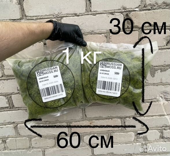 Стабилизированный мох, 1 кг