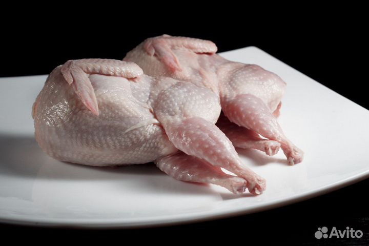 Мясо перепелов.порода техас